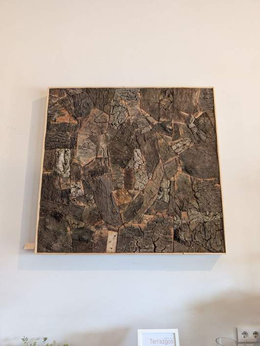 WhatsApp Image 2026-02-16 at 13.04.08